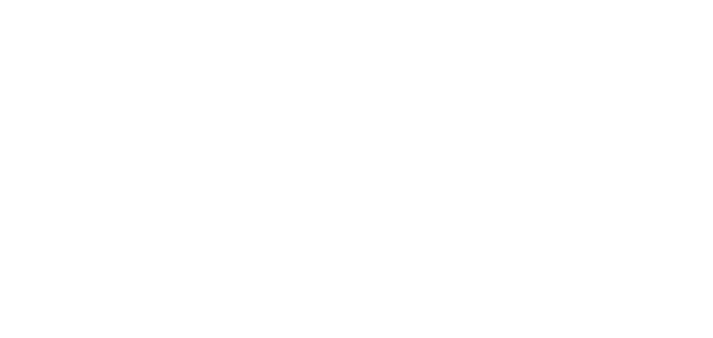 The Opal Group